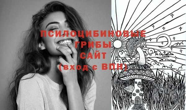 МДПВ Ладушкин