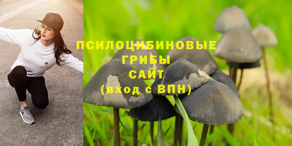мяу мяу мука Лагань